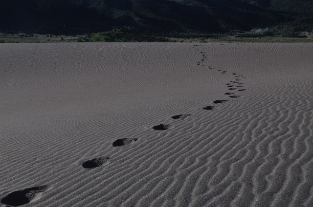 morning shot of the dunes